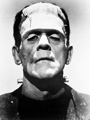 Frankenstein Portrait